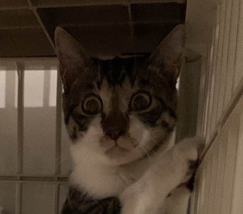 5D7D5945-8D38-402E-9D58-8957B52C1E39