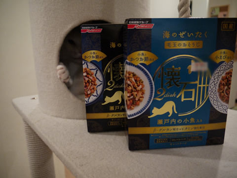 猫式ブログ~里親募集型猫カフェ