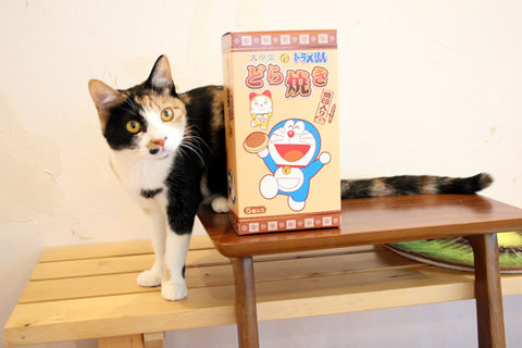 20190120_アスハちゃん里親さん