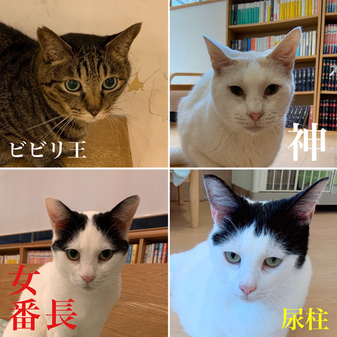D16C0A1F-8E28-4ED2-AB31-B3F06194D93D