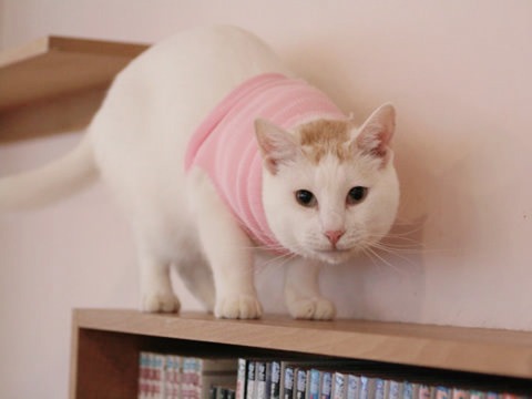 6072F2C3-1B10-48EE-ADCF-3ED6AD3077E5