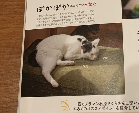 F358C4E2-4E4D-4195-847F-8CDB73C9A9A9