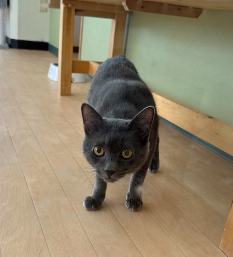 EBA5390C-1A02-48B1-8901-DACE9E853A82