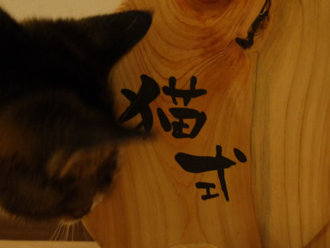 猫式ブログ~里親募集型猫カフェ