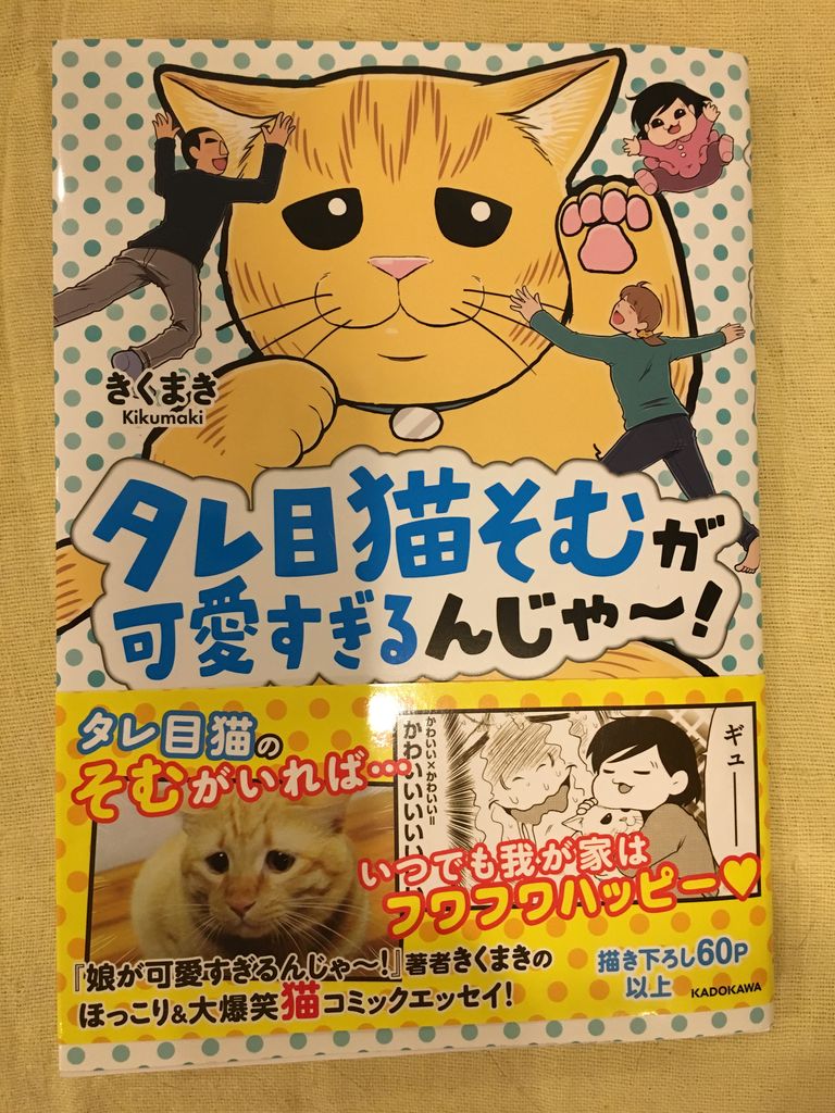 タレ目猫そむが可愛すぎるんじゃ 発売 猫式ブログ 里親募集型猫カフェ