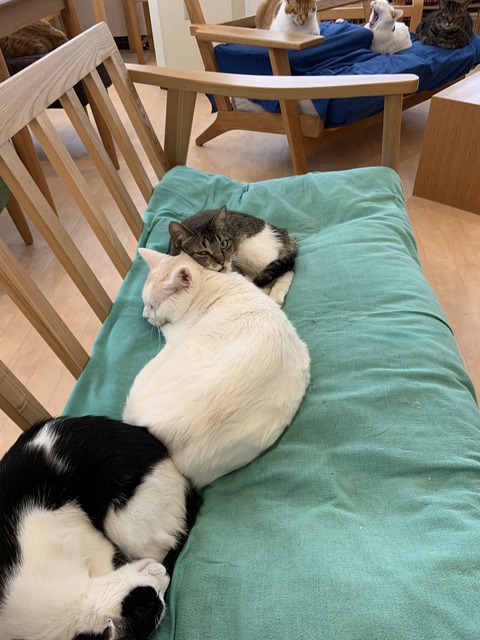 B47195C2-1D90-4663-9BBB-0432032AB621