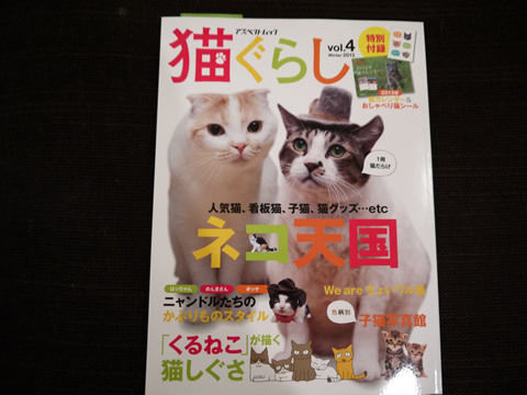 猫式ブログ~里親募集型猫カフェ