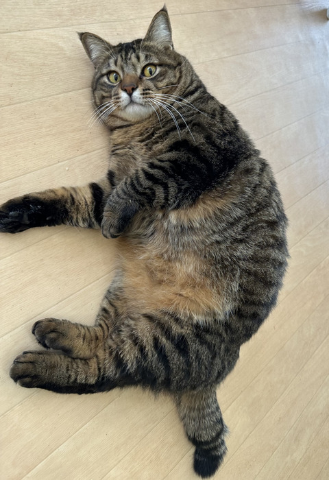 A8483DA0-134C-4CAA-A2D2-6D659BFC08C1