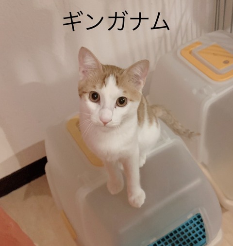 83E1CE0A-73F1-4678-B477-4F1951BA0472