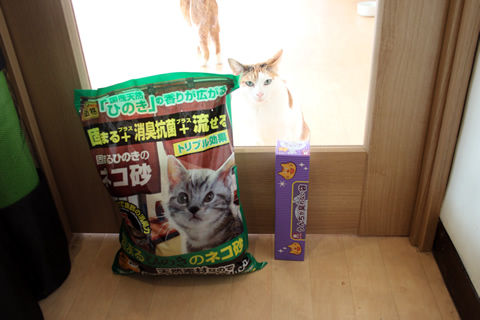 20190114_トマーシュ里親さん