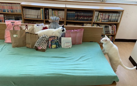 4905ADE1-A2F4-4AEB-90ED-6CDF907EEB86