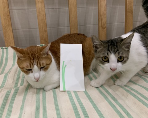 E2DD15BA-AE5D-4A63-98F6-82058AF34C27