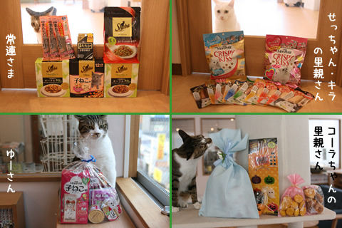 猫式ブログ~里親募集型猫カフェ