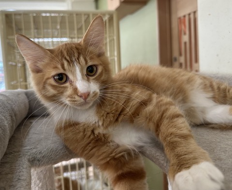 C350CE1A-C88E-4BDC-8FF5-8A2B7ACEDB80