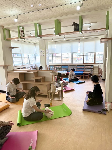 9A479013-D7BA-44DA-A22C-53EF97330C50