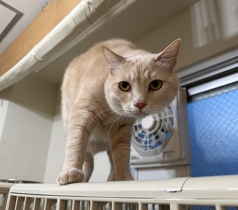 926285FD-CCDA-48ED-95C3-625B1F3ED42E