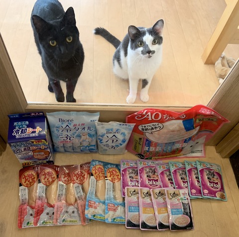 BC537612-9C83-4B85-8620-13BB9F45092D