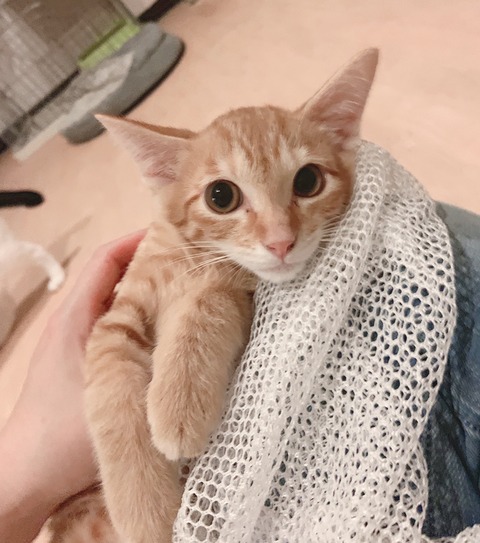 EB8648CA-53E9-4A94-8ED9-CD72FF7DB277