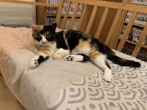 4D57A128-3E28-4A43-900E-2132811D8339