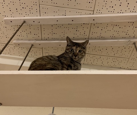 00185A50-7C89-448D-A763-EC0EED206ECD