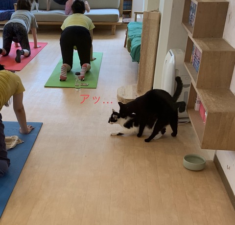 5F1FBDFE-E18E-4A76-B630-09D08497FB37