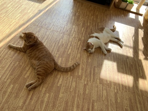 292DA65E-A8A1-4674-AF1F-719C1E6B1A3E