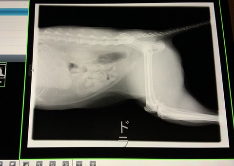 E93933EE-D079-4619-A838-BA6E23624155