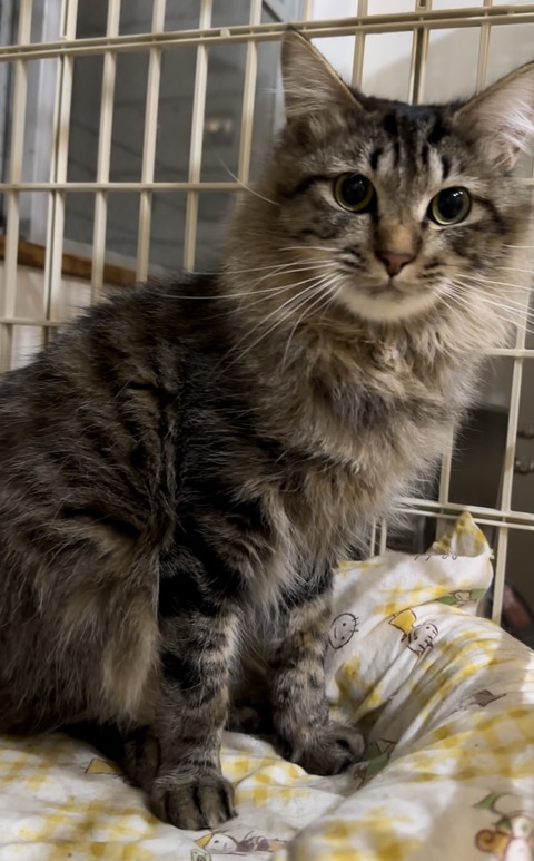 370EE4B9-3E9E-4D20-8D95-D964F07D63C2