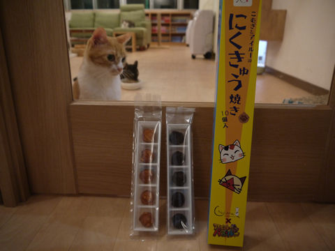 猫式ブログ~里親募集型猫カフェ