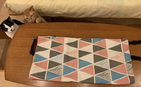 1CE7445F-5F16-4F4E-8253-8077DCECF21D