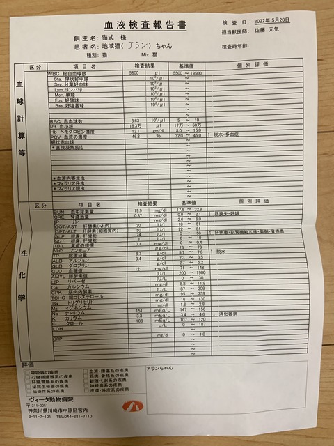 9DA5730C-B260-44CF-9381-2BAD95D59A94