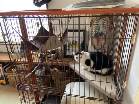 FA5242FD-3FA8-4565-95CB-8F11A17BD961