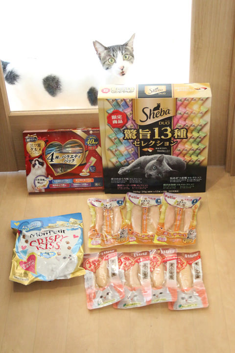 08_ゆかぽんさん