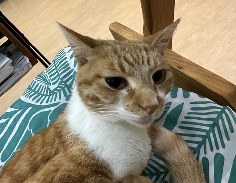 E4A3422D-BF39-4F80-82DD-DA640A698D5D