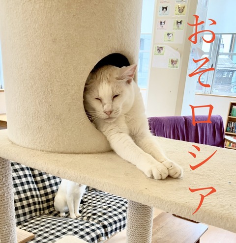 351DE16F-7585-409B-8F8E-59C7675A9A19