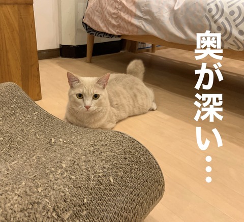 316AA5F1-F10A-4C2B-A29C-F584DDA78731