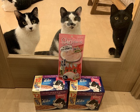 E9DD635C-FA76-42A3-9D4A-0CCFAB514616