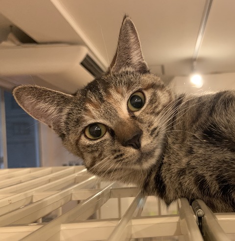 7EA8B583-4B40-4B33-BB00-9F785752A18F