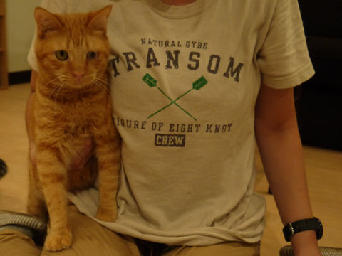 猫式ブログ～里親募集型猫カフェ