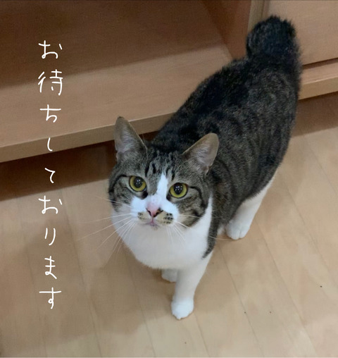 CF6E2C2C-2F30-40DE-B3F9-D24295E9E5DC