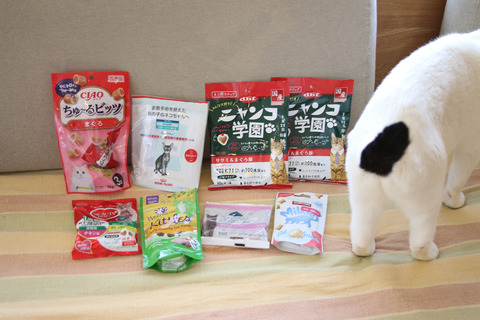 2018クリプレ_ザクレロ里親さん