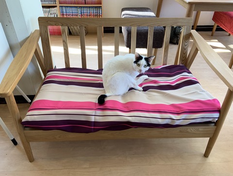 41751855-2960-412D-9591-7FE177D19EB5