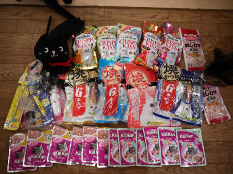 猫式ブログ～里親募集型猫カフェ