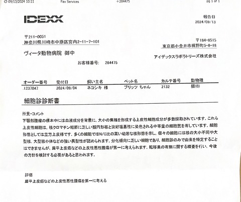 7CD8B9C6-2098-4AD7-ACB6-E39763F93C6A