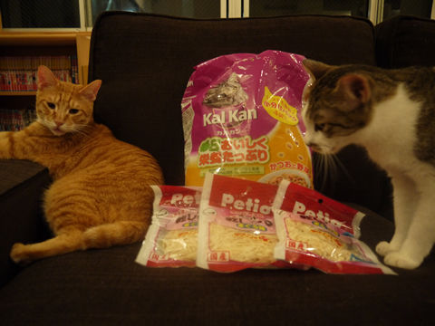 猫式ブログ~里親募集型猫カフェ