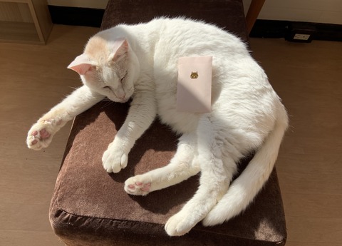 DE8E7132-F982-4CF5-8EA5-50C2824BDD7E