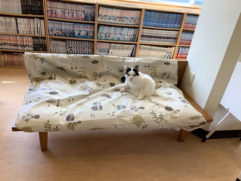 1508BE57-7F57-43C5-8E5A-E0535010D112