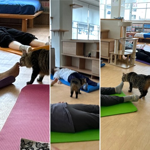 F44F277E-C8EB-43AB-AF0C-88C852792A19