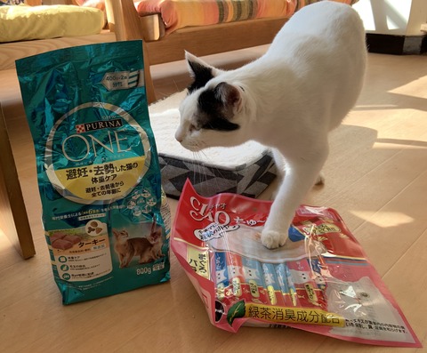 DDC5D3E5-5525-4183-95B5-C1FAD81E5658