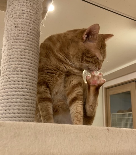 59E27D0E-8768-4963-BB79-EE6DA4DE2EC7